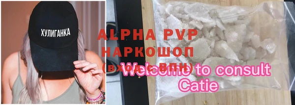 шишки Медвежьегорск