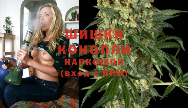 шишки Медвежьегорск