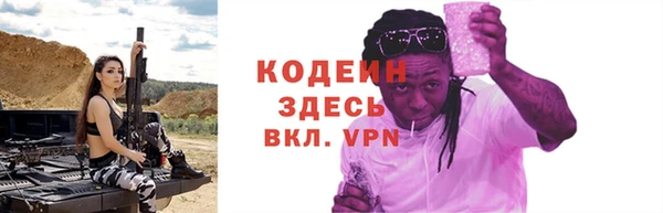 шишки Медвежьегорск