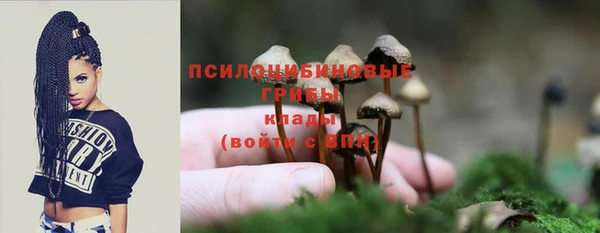 прущий лед Михайловка