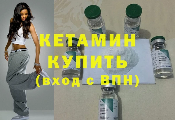 шишки Медвежьегорск