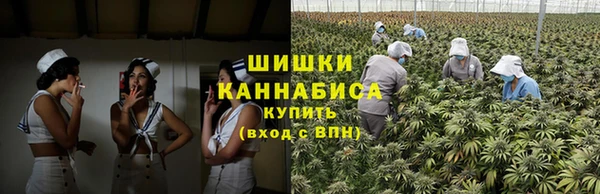 МДПВ Анжеро-Судженск