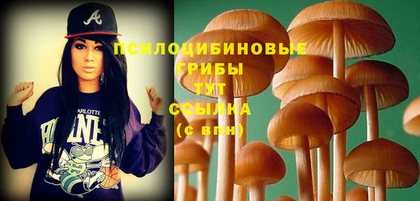 apvp Михайловск