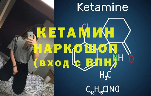 шишки Медвежьегорск
