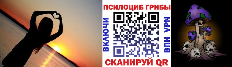 Псилоцибиновые грибы Psilocybe  Санкт-Петербург 