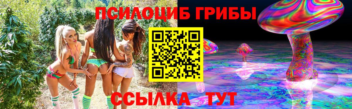 Галлюциногенные грибы Psilocybine cubensis Санкт-Петербург