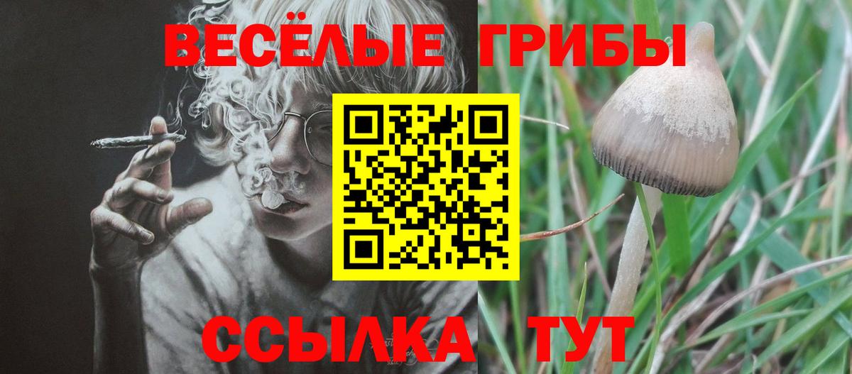 Галлюциногенные грибы Psilocybe  Вход с VPN  Галлюциногенные грибы ЛСД  Санкт-Петербург 